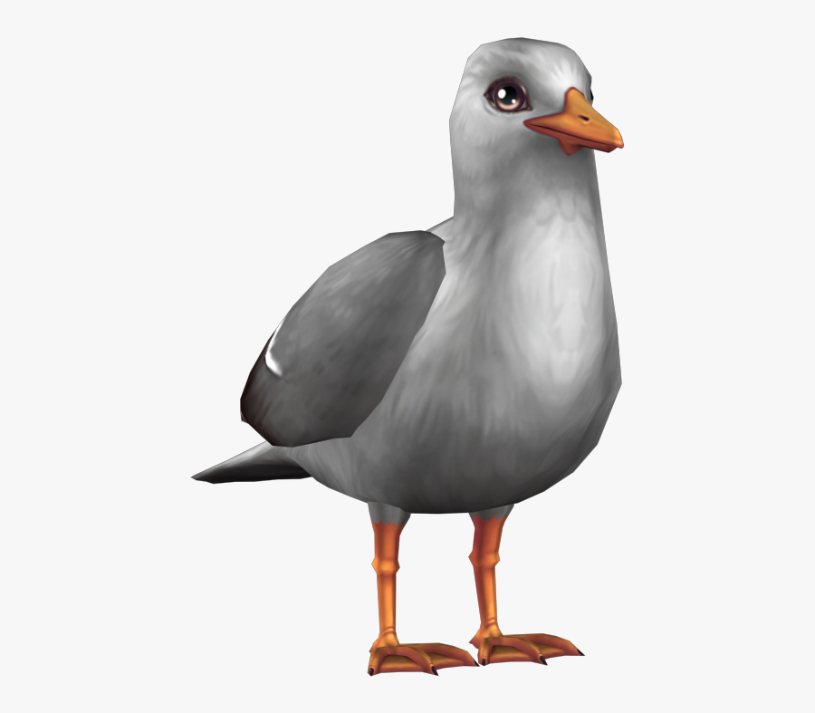 Star Stable , Png Download - Laughing Gull, Transparent Clipart