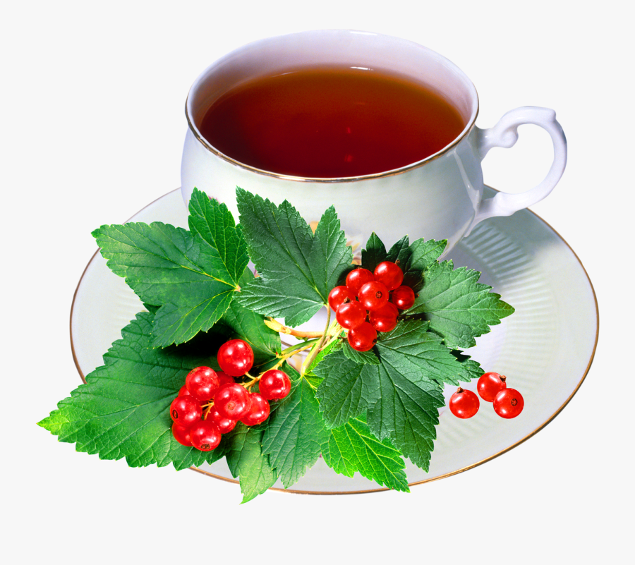 Harbal Tea With Cup - Currant, Transparent Clipart
