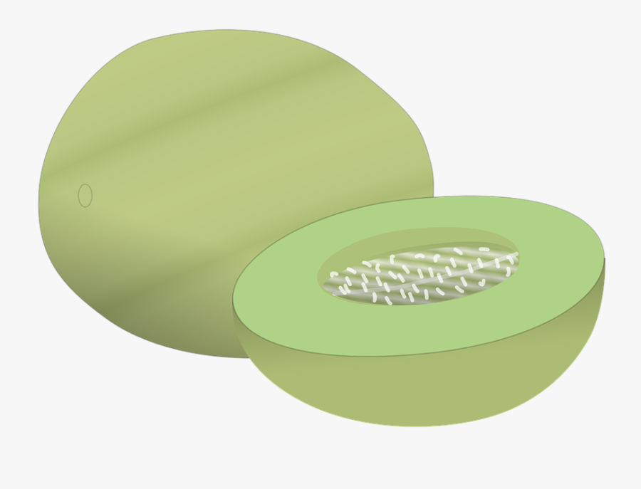 Melon, Fruit, Green, Ripe, Fresh, Vitamins, Juicy, - Honey Dew Melon Clipart, Transparent Clipart