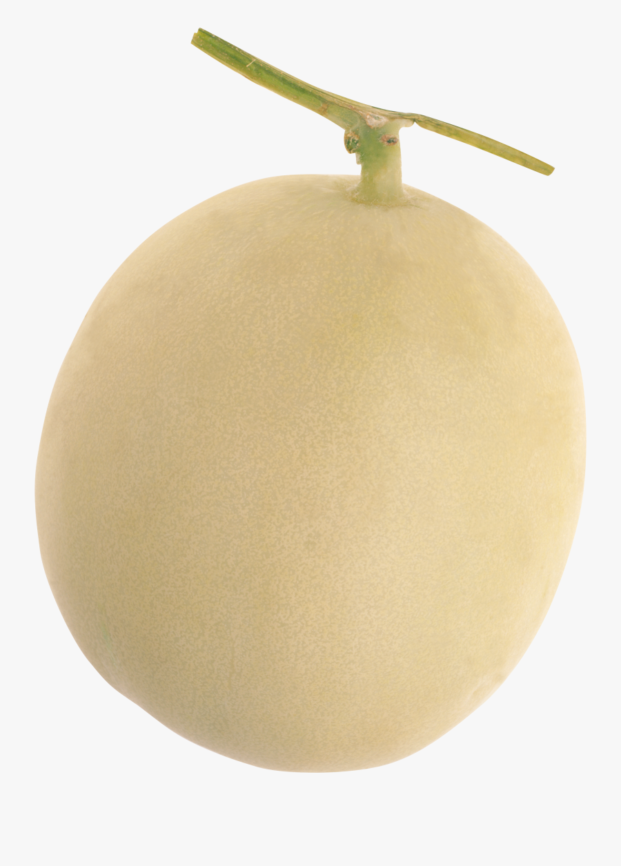 Melon Png - Kiwifruit, Transparent Clipart