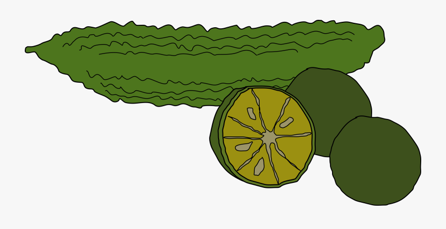 Plant,leaf,food - Bitter Melon Clip Art, Transparent Clipart