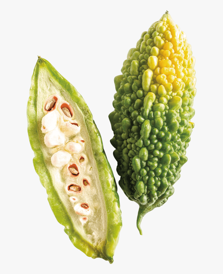 Clip Art Bitter Melon Picture - Bitter Melon, Transparent Clipart
