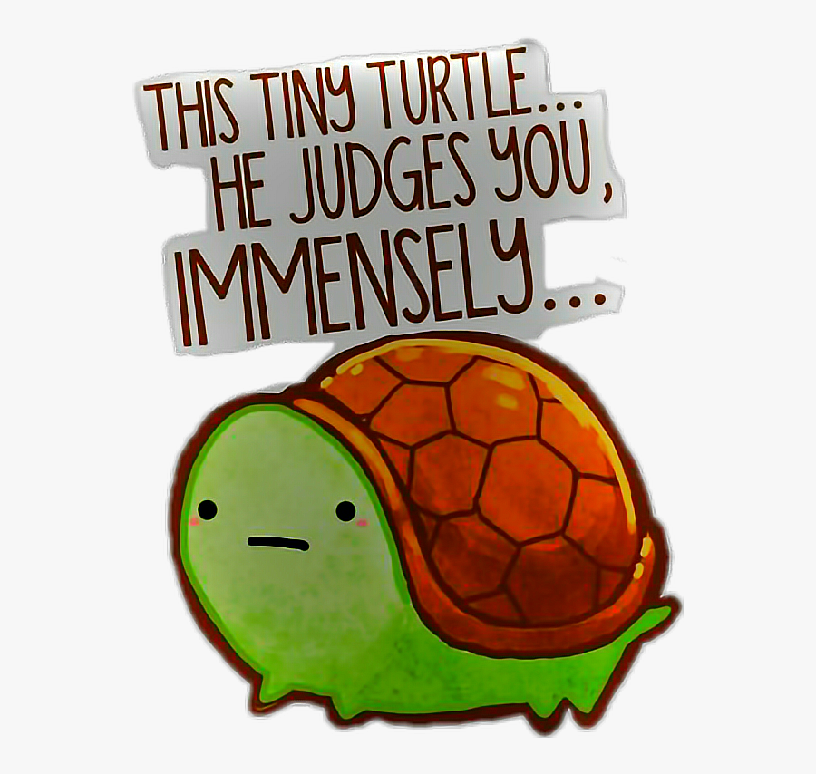 #freetoedit #turtle - Tiny Turtle He Judges You Immensely, Transparent Clipart
