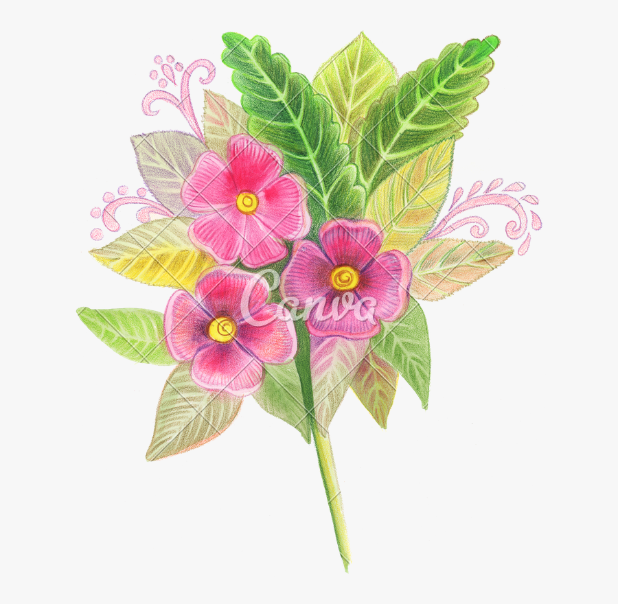 Flowers Color Clipart Drawn - Periwinkle, Transparent Clipart