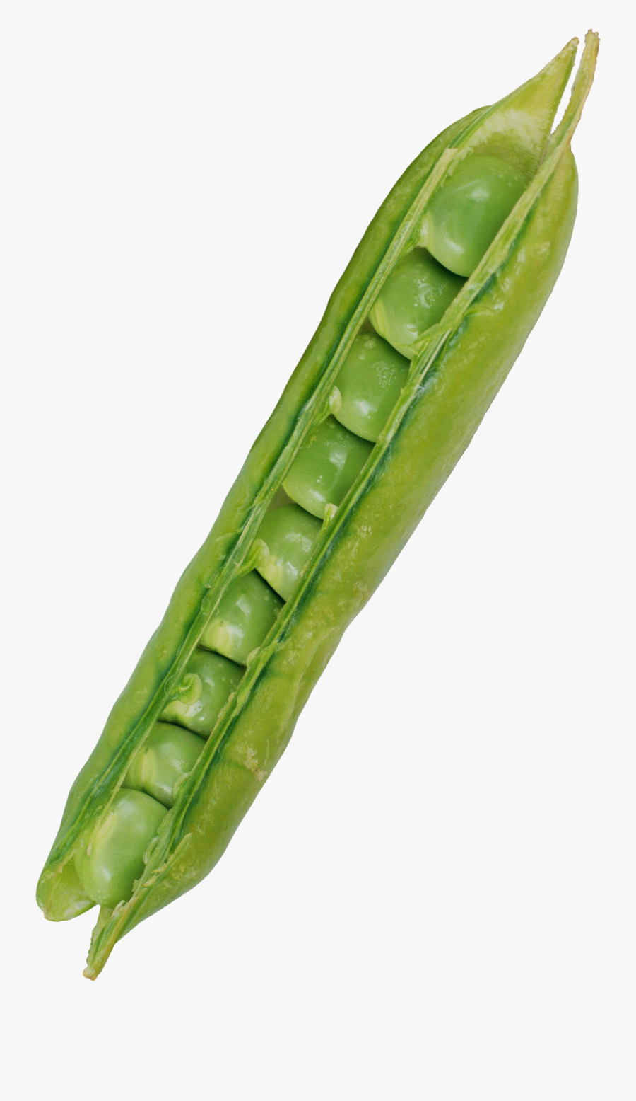 Pea Png Image, Transparent Clipart