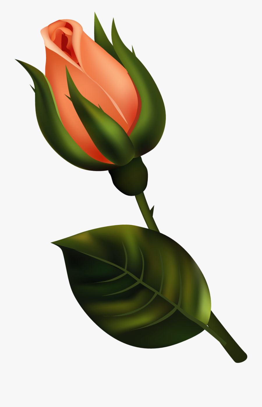 Colored Pencil Artwork, Colored Pencils, Flower Clipart, - Bud Clipart, Transparent Clipart