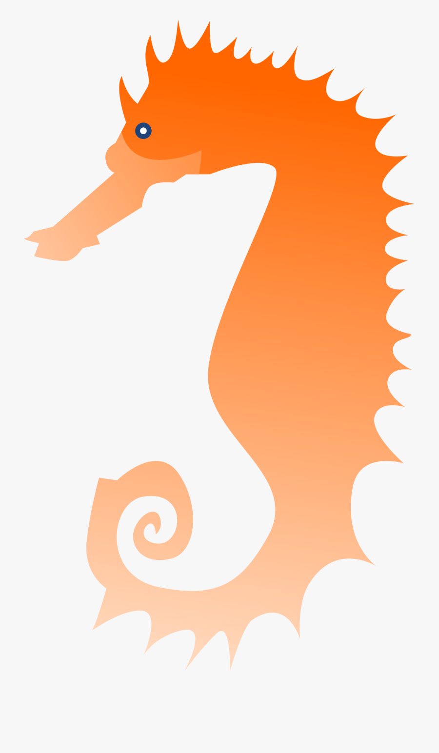 Transparent Sea Horse Clipart - Illustration, Transparent Clipart