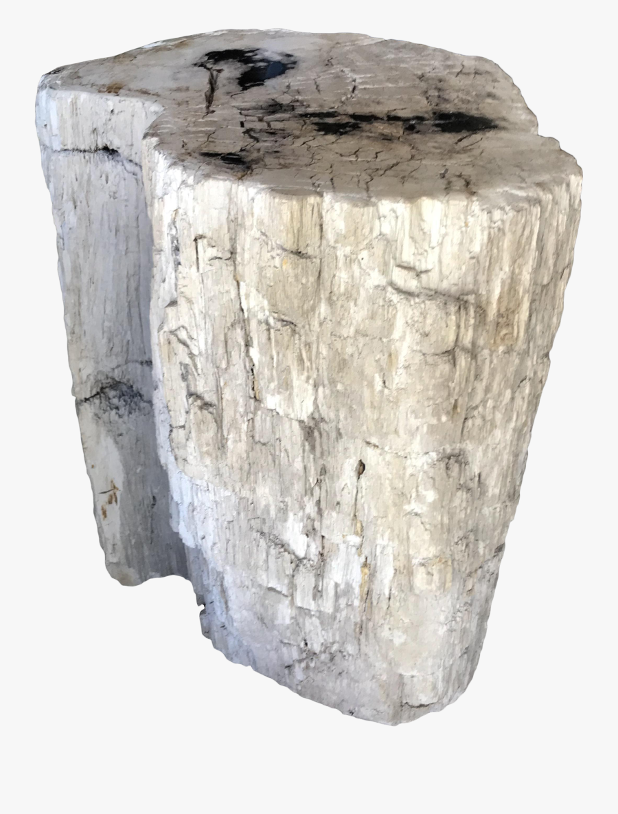 Clip Art Fossilized Tree - Wood, Transparent Clipart