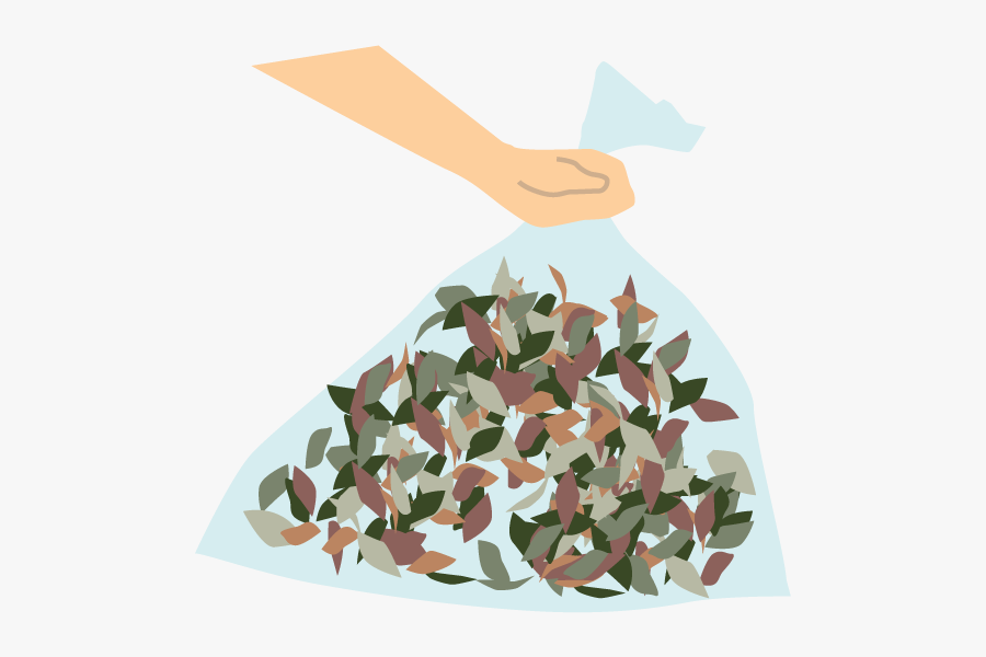 Origami, Transparent Clipart