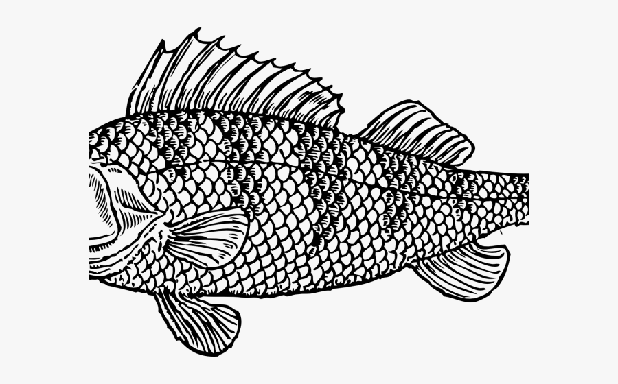 Transparent Ocean Animals Clipart - Clipart Black And White Fish Png, Transparent Clipart