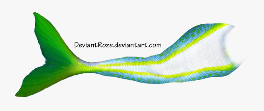 Panda Free Images Mermaidtailclipart - Mermaid Tail Side View Png, Transparent Clipart