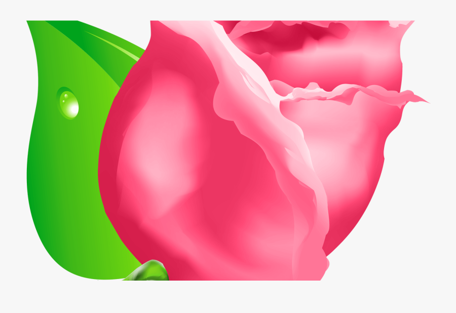 Transparent Rose Bud Clipart - Clip Art, Transparent Clipart
