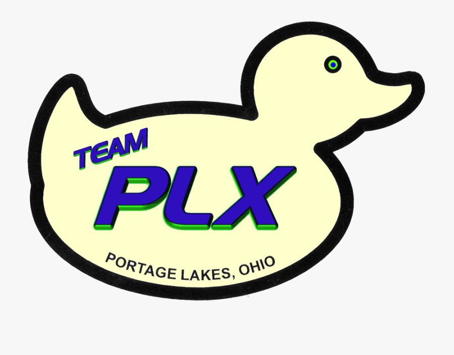 Duck, Transparent Clipart
