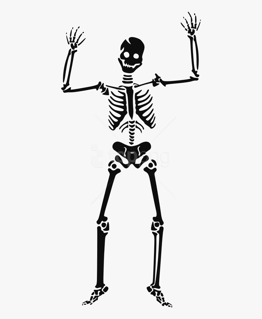 Halloween Skeleton Png, Transparent Clipart