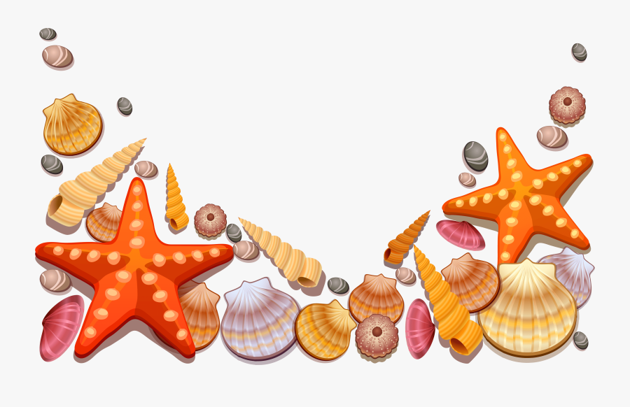 Sea Border Clipart Free Download Best Sea Border Clipart - Sea Shell Vector Png, Transparent Clipart