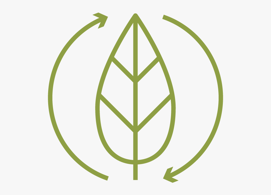 Trinity Park Conservancy Logo, Transparent Clipart