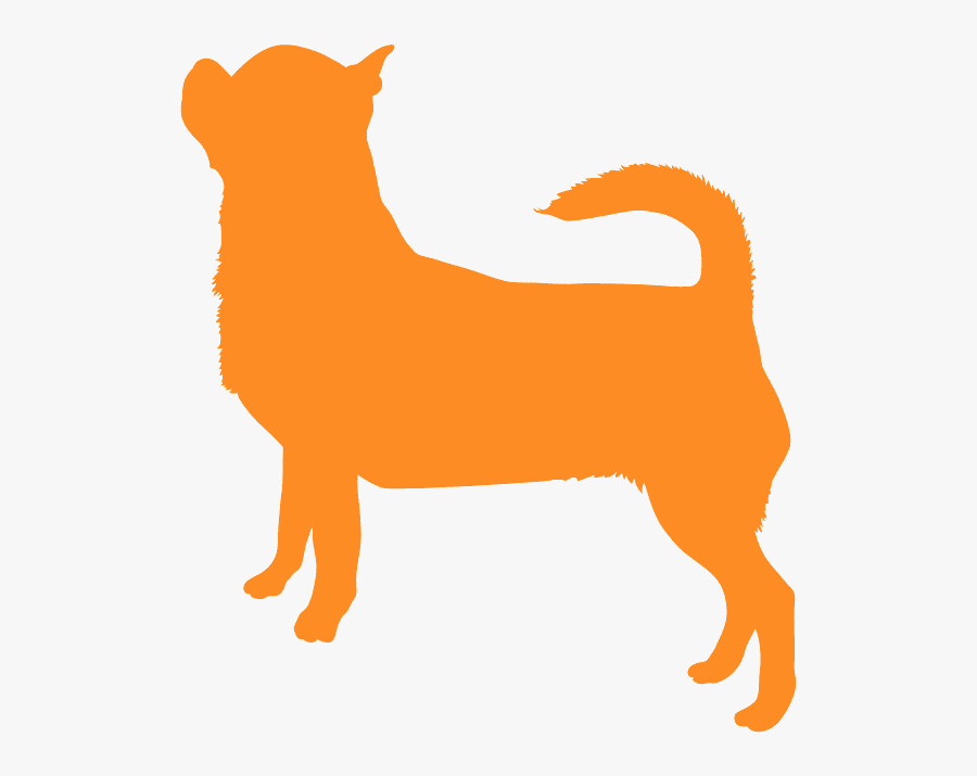 Companion Dog, Transparent Clipart
