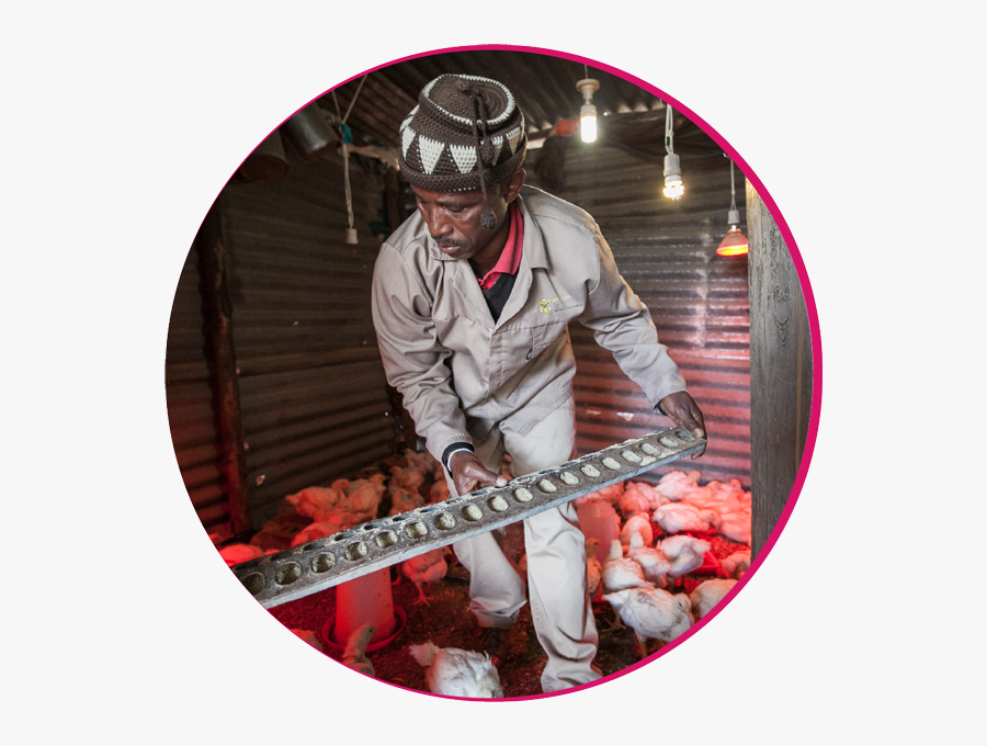 Wall Clock, Transparent Clipart