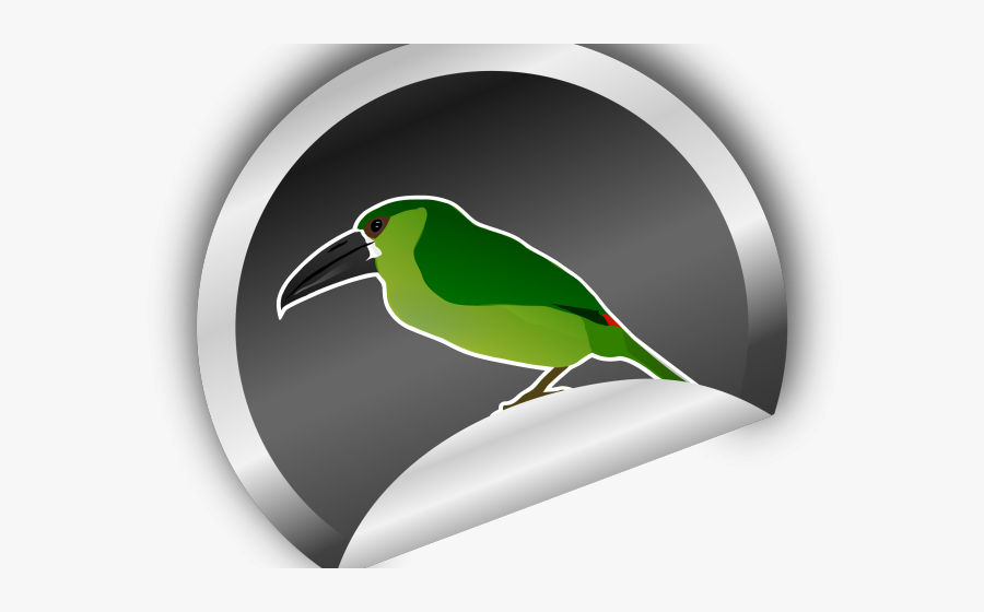 Coraciiformes, Transparent Clipart