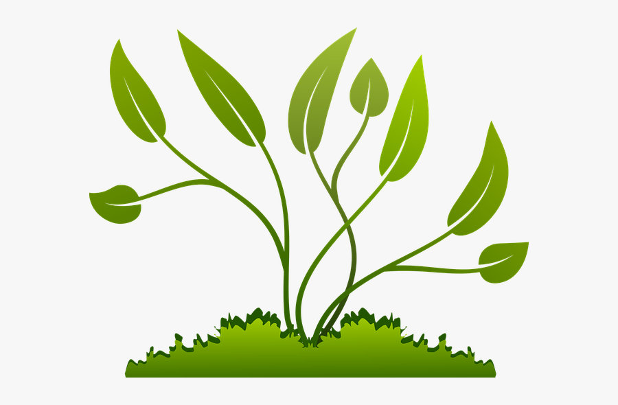 Grow Png File - Small Plant Growing Png, Transparent Clipart