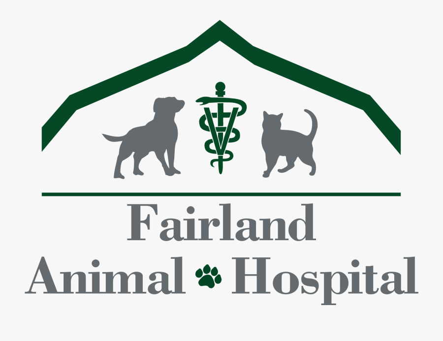 Let"s Eat Kitty T Shirt Funny Punctuation Shirt Cat - Amerihealth Caritas Iowa, Transparent Clipart