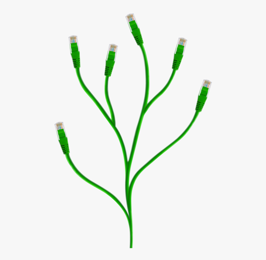 Grow Your Business - Electrical Cable, Transparent Clipart