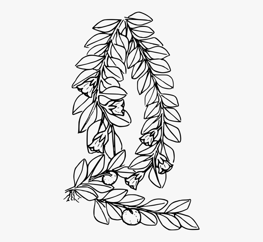 Art,monochrome Photography,monochrome - Moss Coloring Page, Transparent Clipart