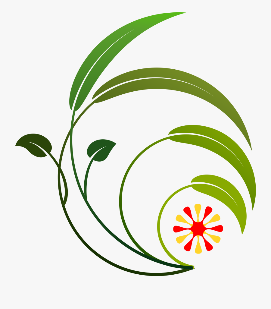 Plant,flora,leaf - Clip Art, Transparent Clipart