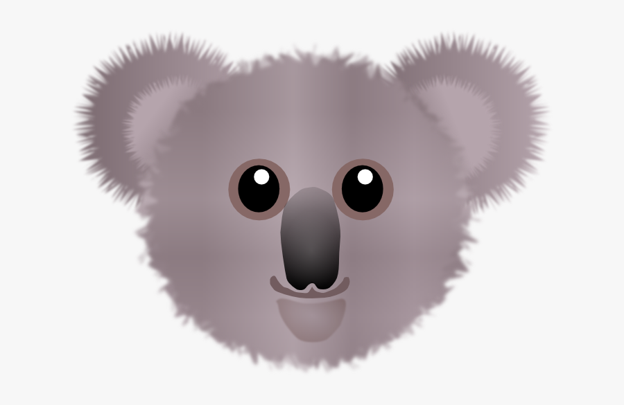 Koala Facts For Kids, Transparent Clipart