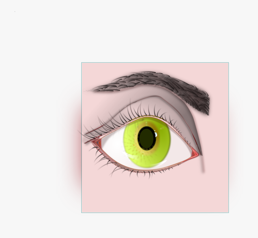 Iris,close Up,eye - Sketch, Transparent Clipart