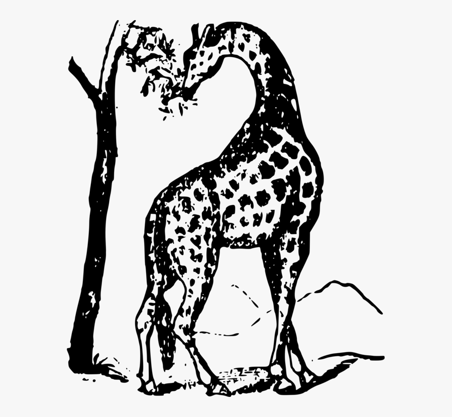 The White Giraffe Animal Computer Icons Mammal - Giraffe, Transparent Clipart