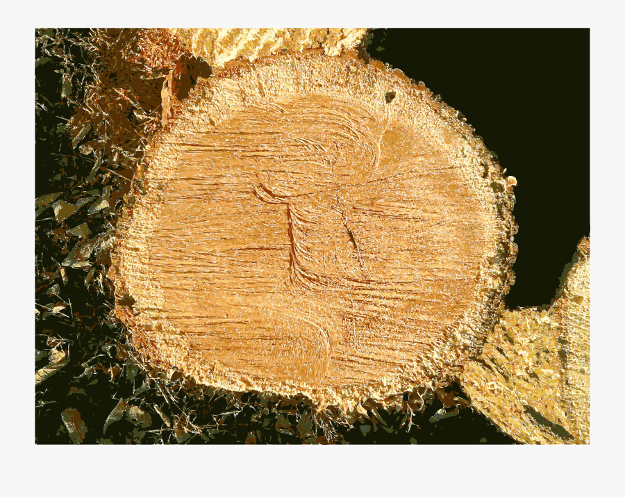 Clipart Missouri Nature - Lumber, Transparent Clipart