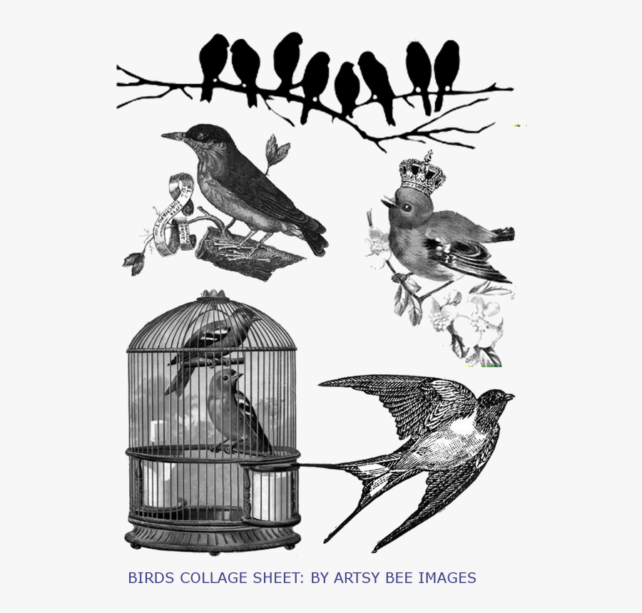 Bird In Cage Png, Transparent Clipart