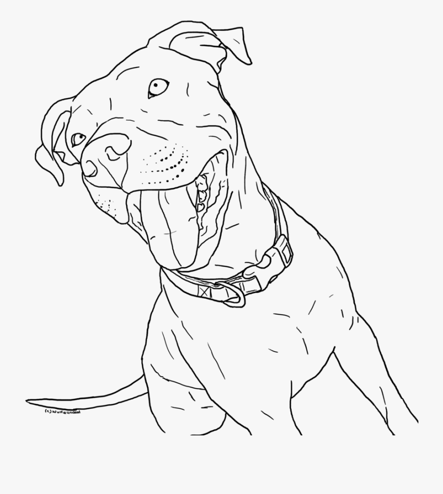 Dog Drawing Face Pitbull - Pitbull Mix Coloring Pages, Transparent Clipart