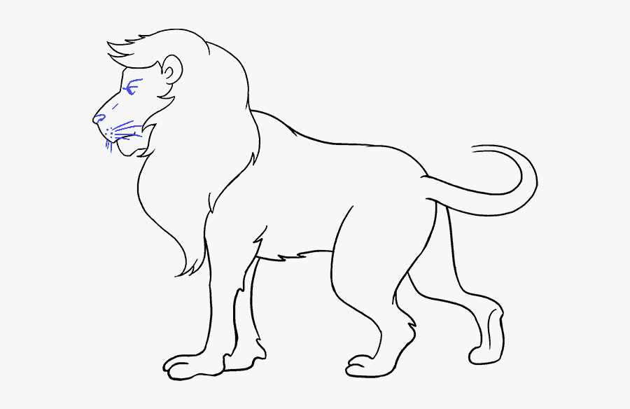 Clip Art Lion Black And White Drawing - Lion Sketch, Transparent Clipart