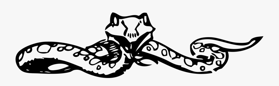 Transparent Snake Png Clipart - Face Snake Png, Transparent Clipart