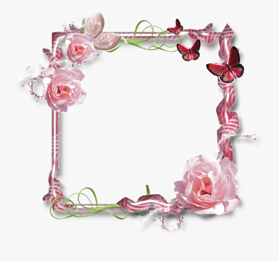 Frame For Scrap Booking Are Taggin - Pink Rose Flower, Transparent Clipart
