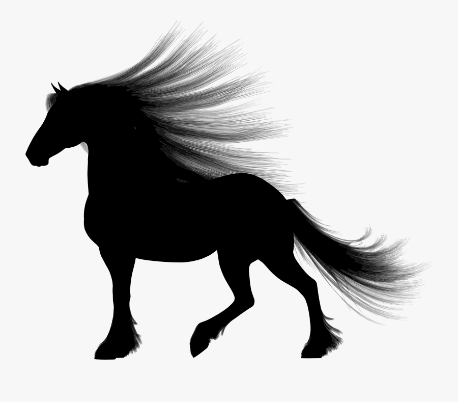 Long Haired Horse Silhouette Clipart Free - Silhouette Of A Horse Png, Transparent Clipart