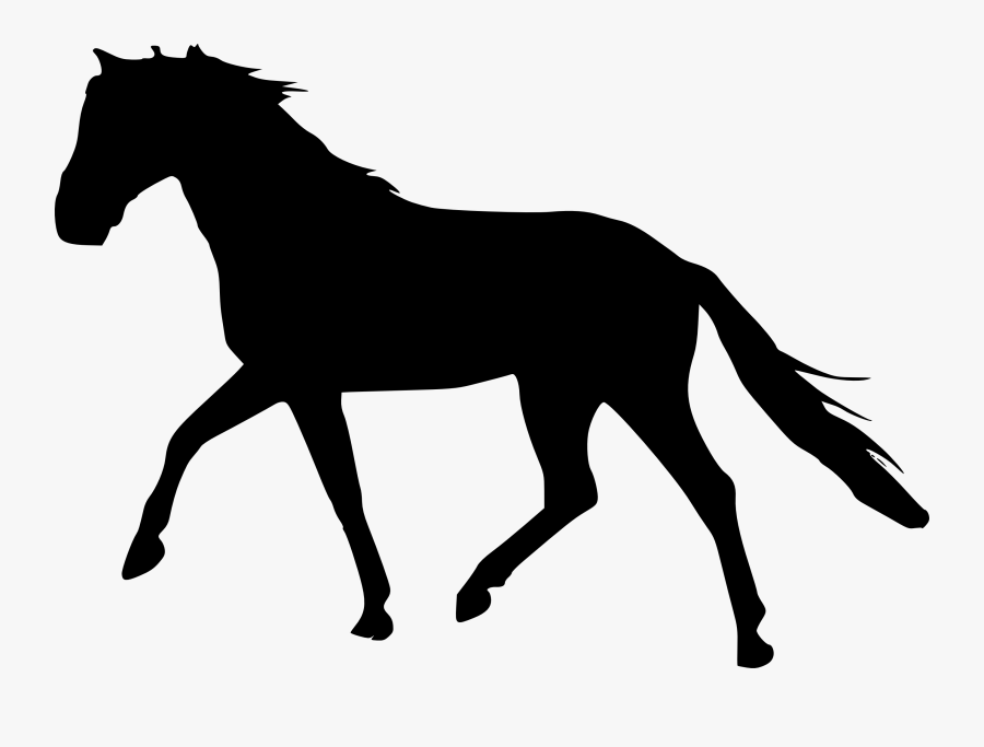 Horse Silhouette Png Free - Horse Silhouette No Background, Transparent Clipart