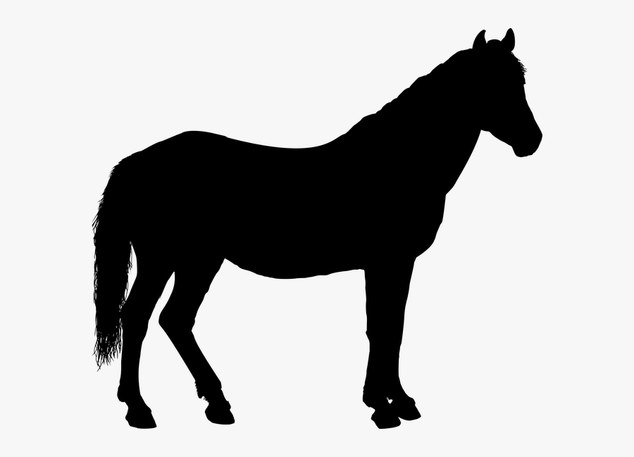 Horse Clipart Shadow - Clip Art Horse Silhouette, Transparent Clipart