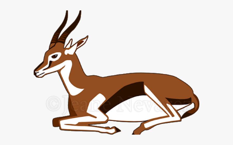 Impala Clipart Thomson"s Gazelle - Thomson's Gazelle, Transparent Clipart