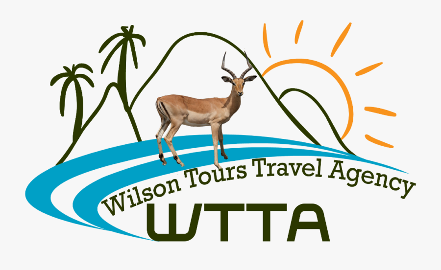 Wilson Tours Travel Agency - Travel And Tourism, Transparent Clipart