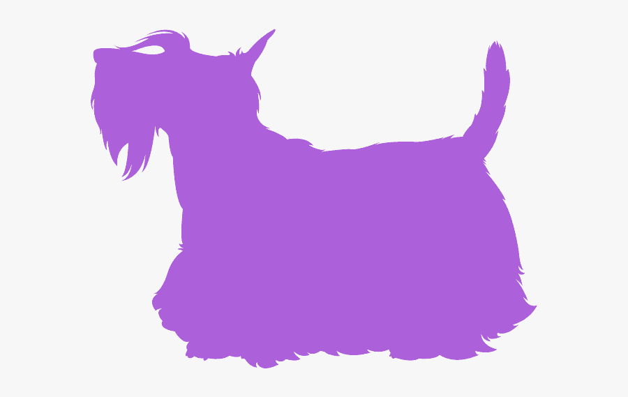 Scottish Terrier Silhouette Vector, Transparent Clipart