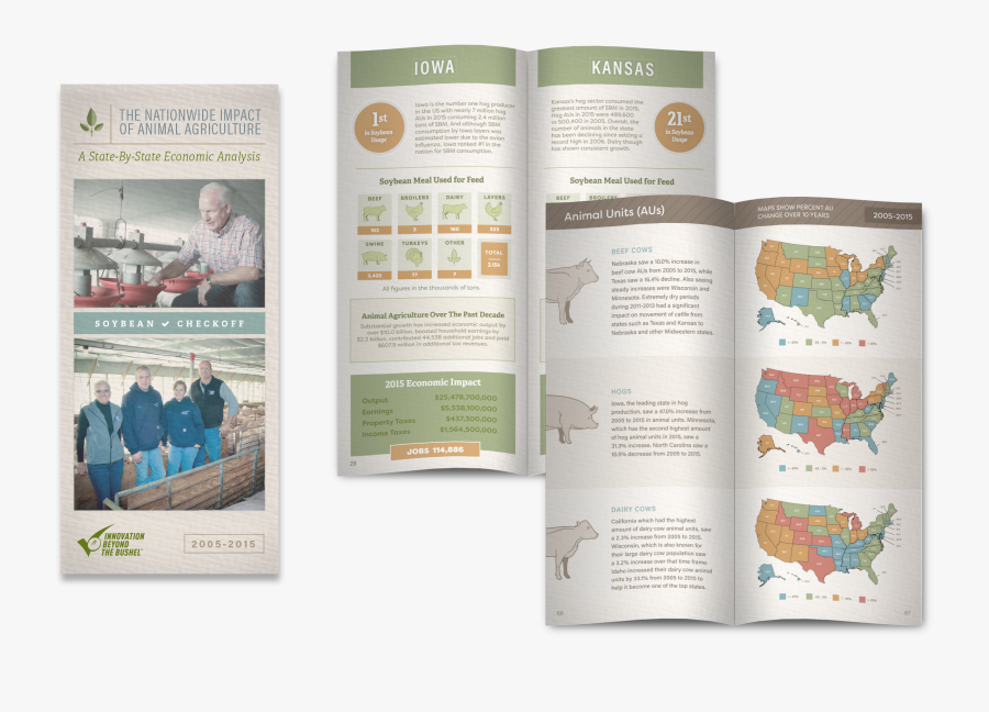 Clip Art Usb Economic Brochure Balcom - Brochure, Transparent Clipart