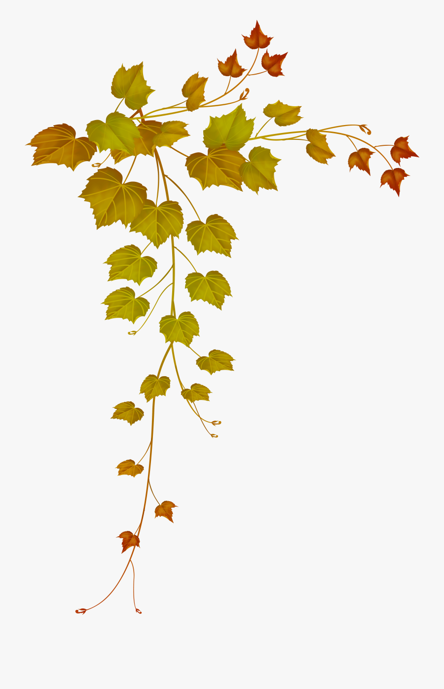 Decorative Clipart Falling Leave - Leaf Transparent Frame Free, Transparent Clipart