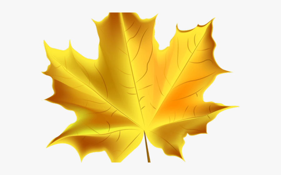 Transparent Fall Leaf Clipart, Transparent Clipart