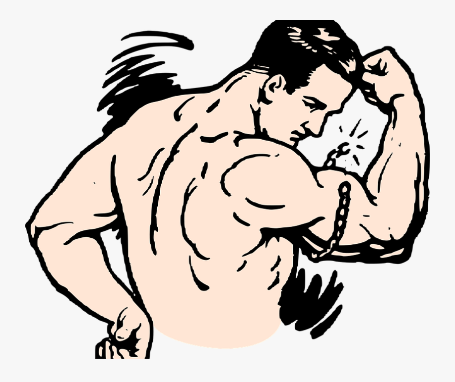 Will Using Sarms Increase My One Rep Max - Cartoon Muscles, Transparent Clipart