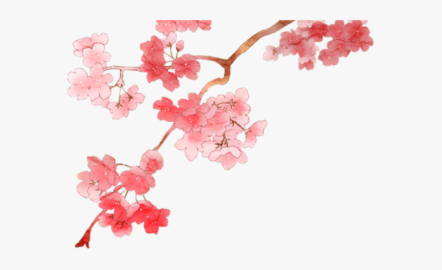 Cherry Tree Clipart Anime Cherry Blossom - Anime Cherry Blossom Branch, Transparent Clipart