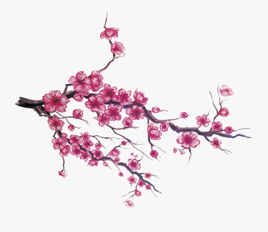 Japan Cherry Blossom Download - Drawing Japanese Cherry Blossom, Transparent Clipart
