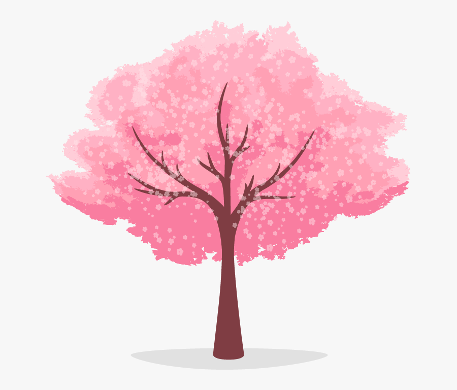 Cherry Blossom Tree Cartoon Clipart , Png Download - Cherry Blossom Tree Clipart, Transparent Clipart